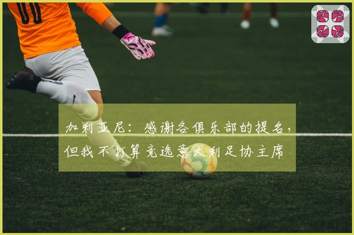 加利亚尼：感谢各俱乐部的提名，但我不打算竞选意大利足协主席